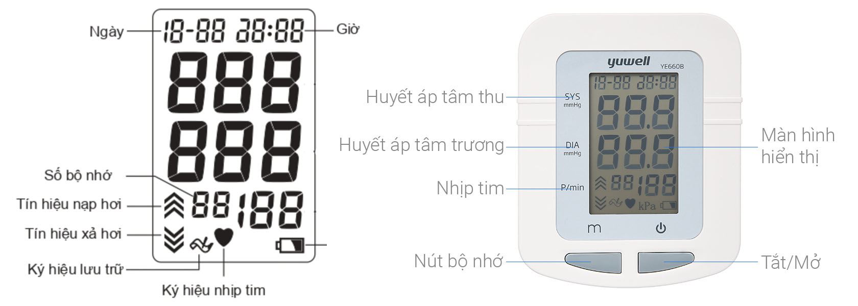 Màn hình hiển thị của Máy đo huyết áp bắp tay Yuwell YE660B