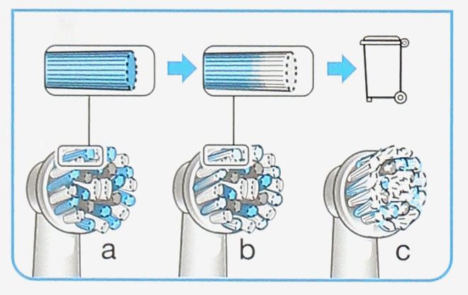 Hướng dẫn thay bàn chải Oral B
