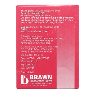 Ampicillin Brawn 500mg trị nhiễm khuẩn (10 vỉ x 10 viên)