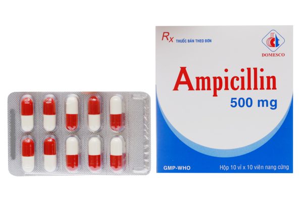 Ampicillin Domesco 500mg trị nhiễm khuẩn (10 vỉ x 10 viên)