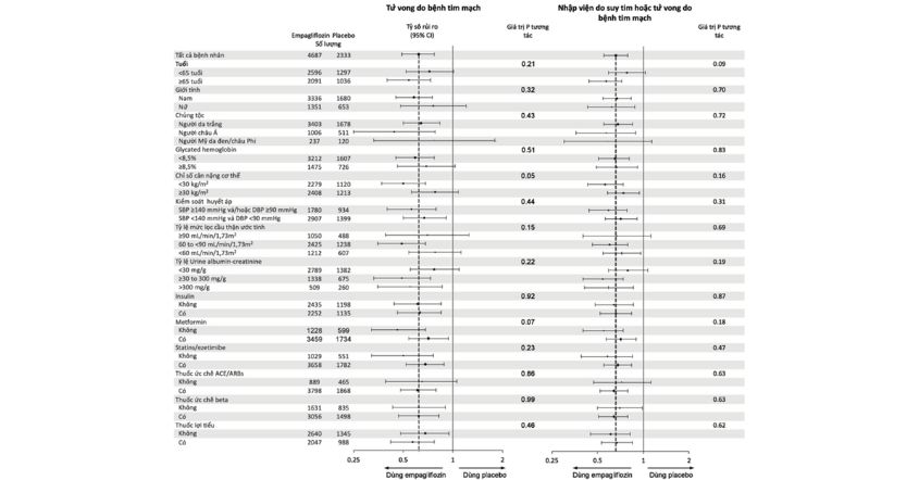 Hình 4. Phân tích dưới nhóm cho tiêu chí tử vong do bệnh tim mạch và suy tim cần nhập viện hoặc tử vong do bệnh tim mạch