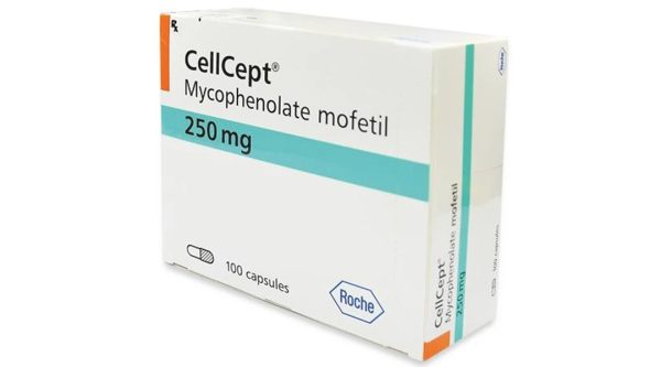 Cellcept 250mg dự phòng thải ghép cấp tính, điều trị thải ghép lần đầu (10 vỉ x 10 viên)