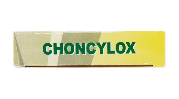 Choncylox 500mg trị nhiễm khuẩn (1 vỉ x 10 viên)