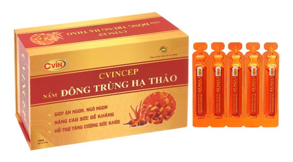 Dung dịch Cvincep Nấm Đông Trùng Hạ Thảo bồi bổ cơ thể hộp 20 ống x 10ml