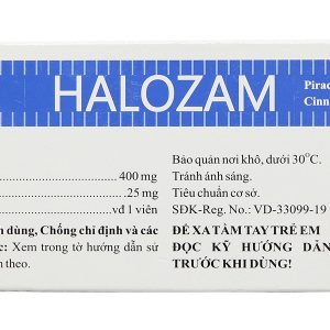 Halozam điều trị đau nửa đầu, rối loạn trí nhớ (10 vỉ x 10 viên)