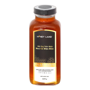 Mật ong thiên nhiên Hoa Cỏ Điện Biên Honey Land chai 520g