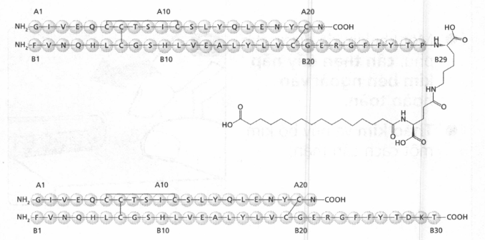 Công thức phân tử:  Insulin degludec: Số CAS: 844439-96-9