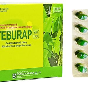 Teburap 120mg trị rối loạn tuần hoàn não và ngoại biên (10 vỉ x 10 viên)