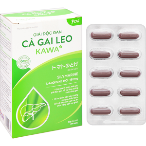 Giải Độc Gan Cà Gai Leo Kawa tăng cường chức năng gan hộp 40 viên