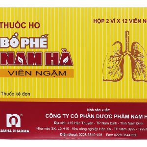 Viên ngậm Bổ phế Nam Hà trị ho, tiêu đờm (2 vỉ x 12 viên)