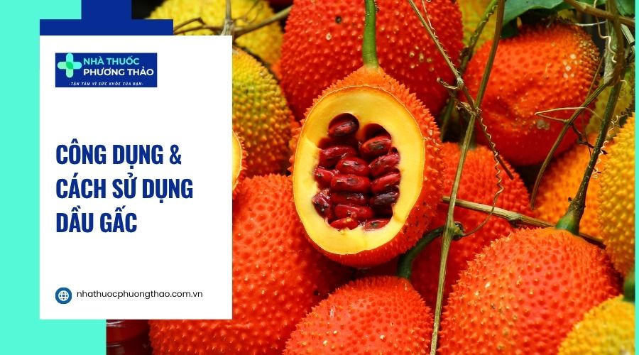 Dầu gấc có tác dụng gì