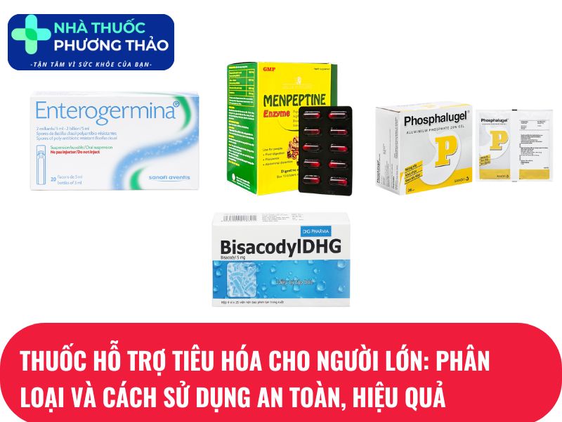 Các nhóm thuốc hỗ trợ tiêu hóa cho người lớn phổ biến